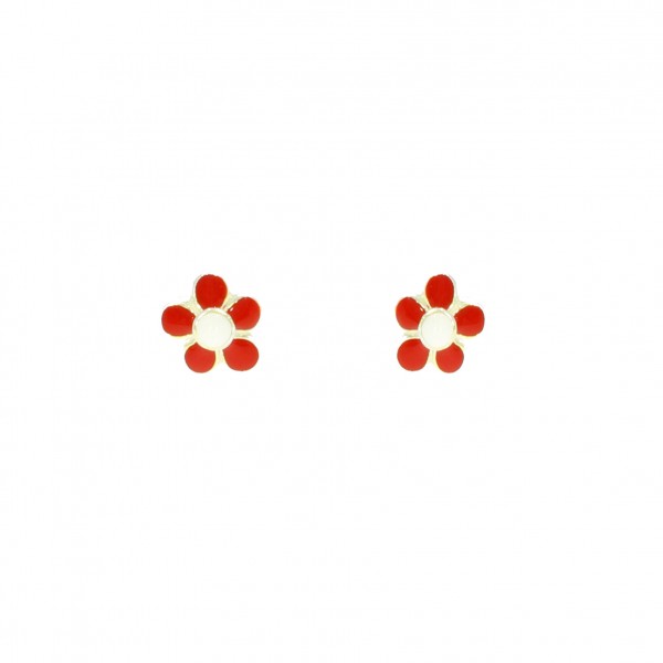 00900013.jpg